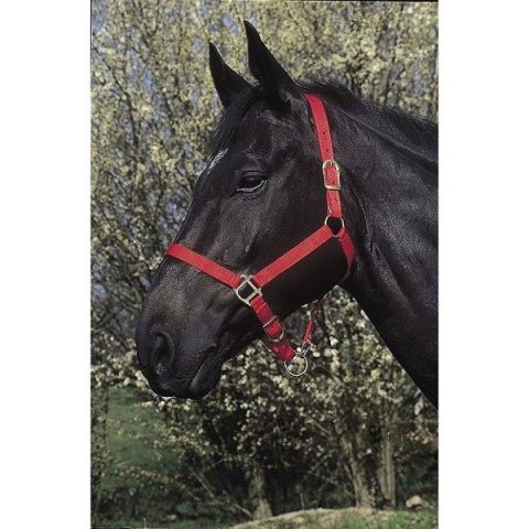 Ular za konje crveni Riding World