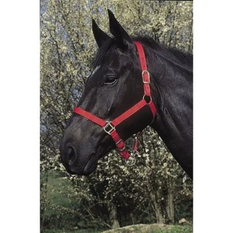 Ular za konje crveni Riding World
