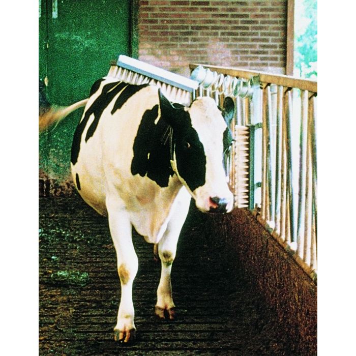 Četka za samočešanje goveda