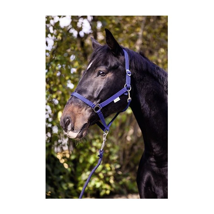 Ular za konje Classic plavi ( 2 )