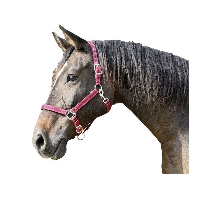 Ular za konje crveno-crni 2 cob