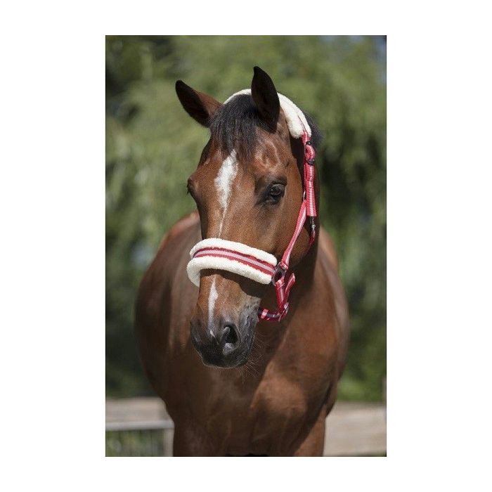 Ular za konje sa krznom 2cob crveni Norton