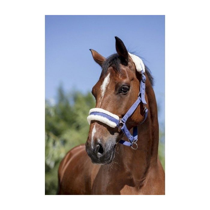 Ular za konje sa krznom 3full plavi Norton