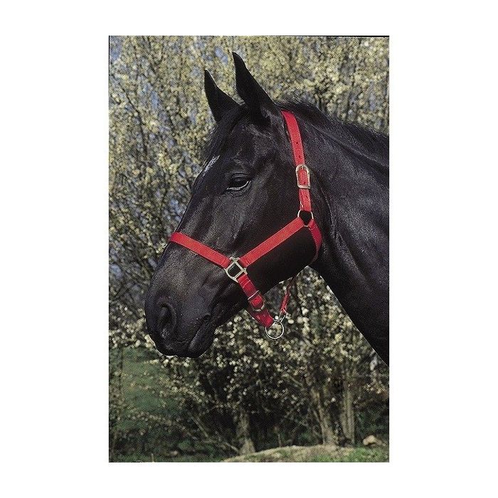 Ular za konje crveni Riding World