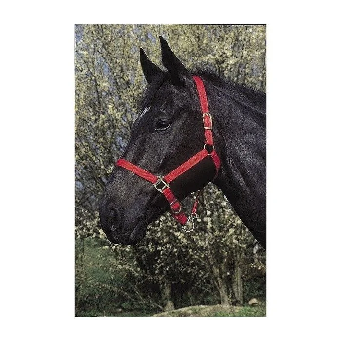 Ular za konje crveni Riding World