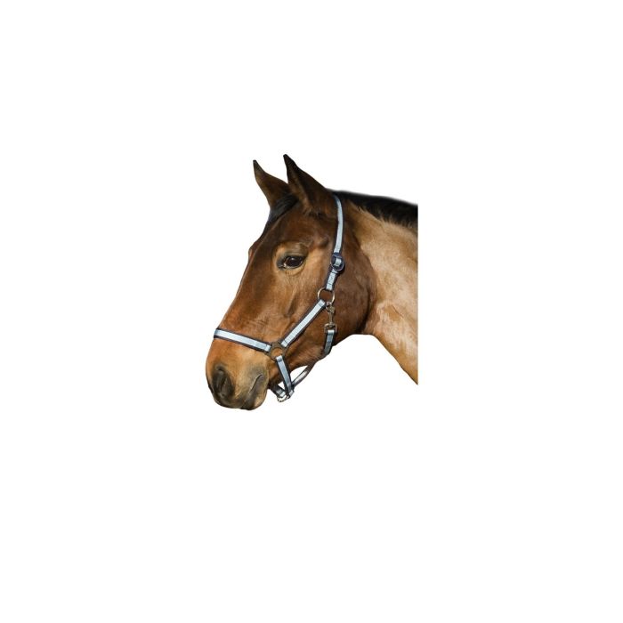 Ular za konje 1 pony svetlo plavi