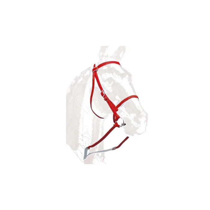 Uzda sa dizginama od gurtne