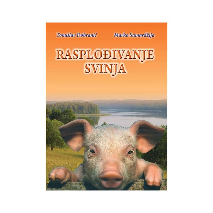 Rasplođivanje svinja