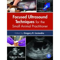 Focused Ultrasound Techniques for the Small Animal Practitioner