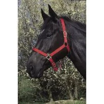 Ular za konje crveni Riding World