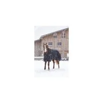Prekrivač za konje vodootporan zimski Riding world