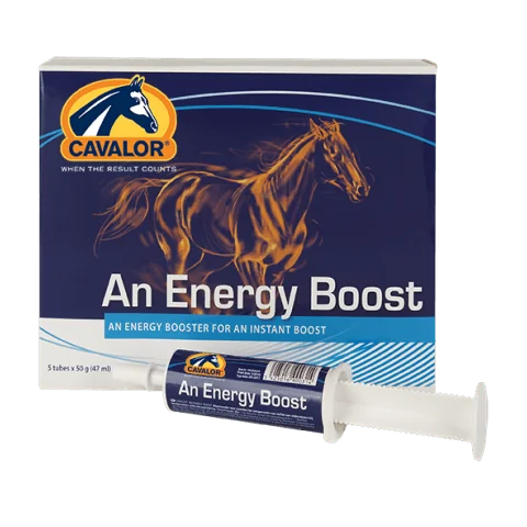 Cavalor An Energy Booster - za nadoknadu energije kod konja 60ml