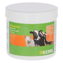 Pasta za papke PODOSEPTAN 450ml