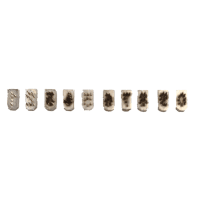 Singl set brojeva od 5mm - Hauptner