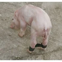 Kaiš protiv rasklizavanja noge