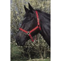 Ular za konje crveni Riding World