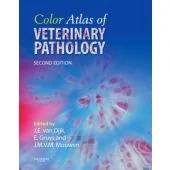 Color Atlas of Veterinary Pathology,
