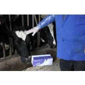 Širete Septicare 100/1