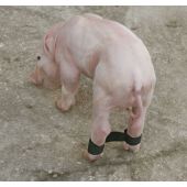 Kaiš protiv rasklizavanja noge