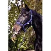 Ular za konje Classic plavi ( 2 )
