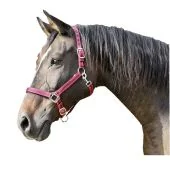 Ular za konje crveno-crni Mustang ( 2 )