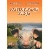 Rasplođivanje svinja