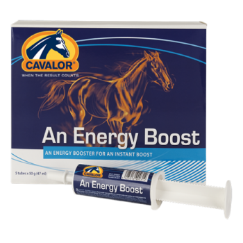 Cavalor An Energy Booster - za nadoknadu energije kod konja 60ml