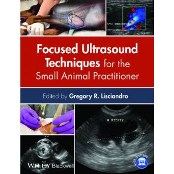 Focused Ultrasound Techniques for the Small Animal Practitioner