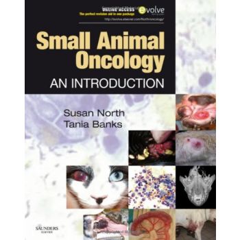 Small Animal Oncology ,