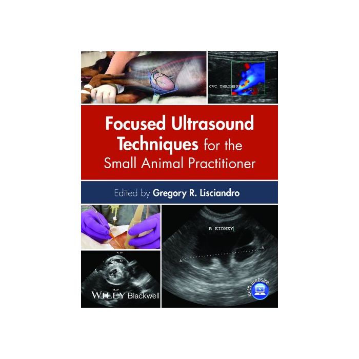 健康・医学 Focused Ultrasound Techniques focused-ultrasound-techniques-